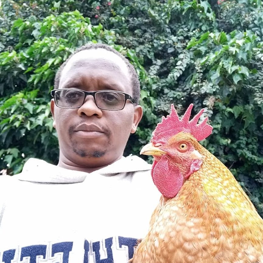 Using SmartBird Poultry Manager – Jeremy’s Farm Scenario