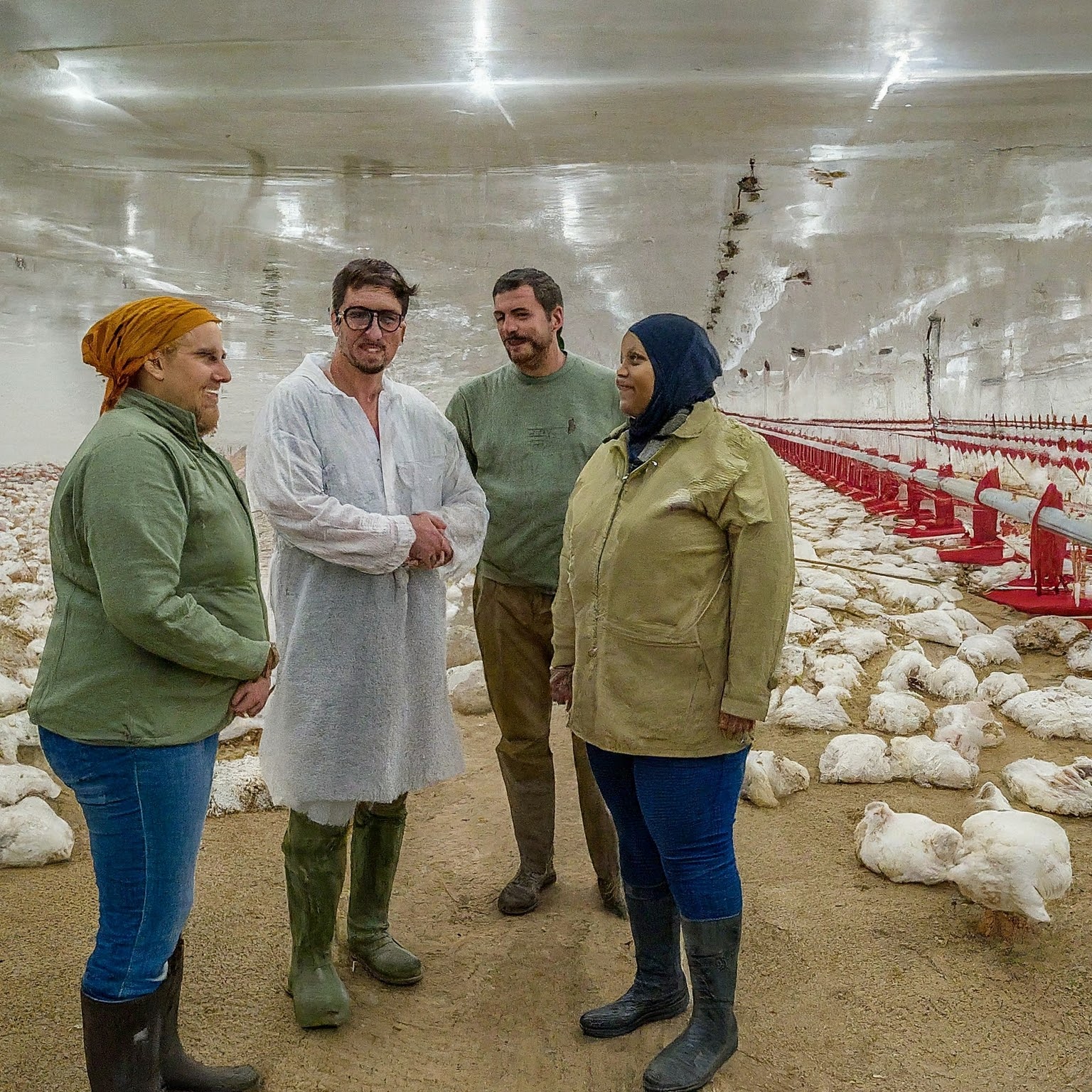 Biosecurity Measures: Protect Your Broiler Farm Against Diseases and Threats